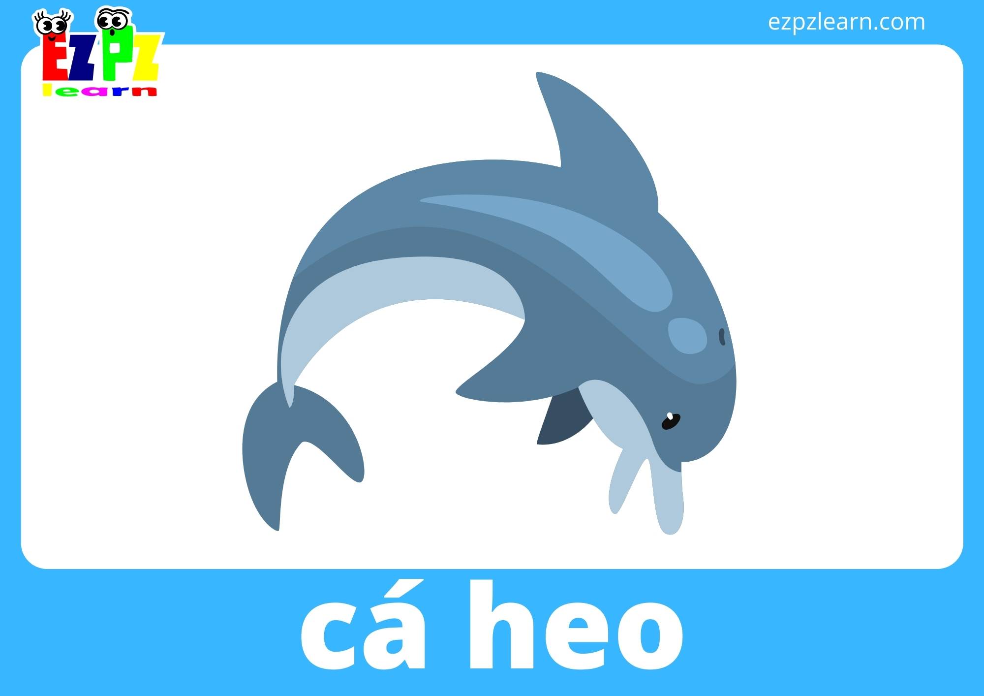 cá heo